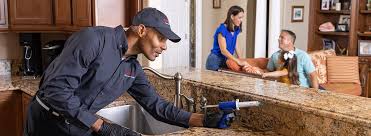 Best Residential Pest Control  in Port Orchard, WA